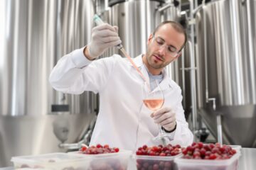 vin rosé fabrication